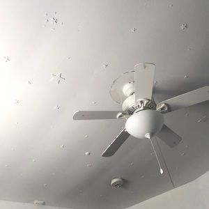 Meet your Posher, Edith